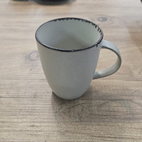 GBS ELİT 01 MUG VC26B